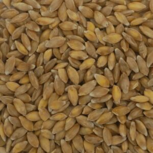 Weißes Ur-Einkorn - 1kg
