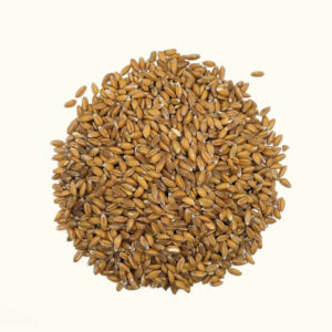 Schwarzer Ur-Emmer - 1kg