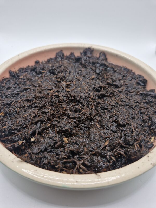 Nacktgerste – Bild 4