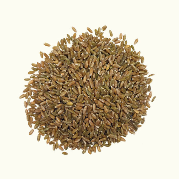 Ur-Grünkern