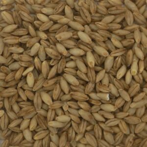 Nacktgerste - 1kg