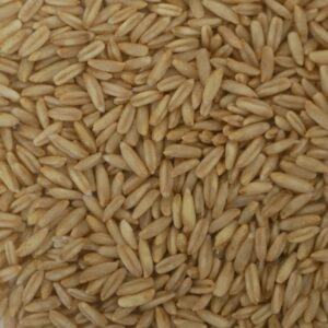 Nackthafer - 1kg