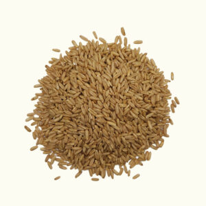 Nackthafer - 1kg