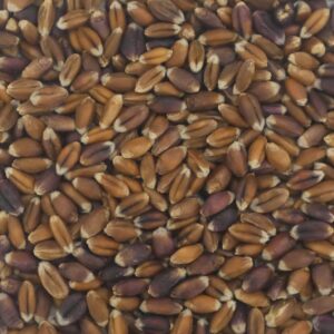 Ur-Weizen Rotkorn - 1kg