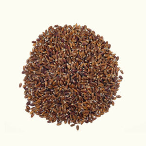 Ur-Weizen Rotkorn - 1kg