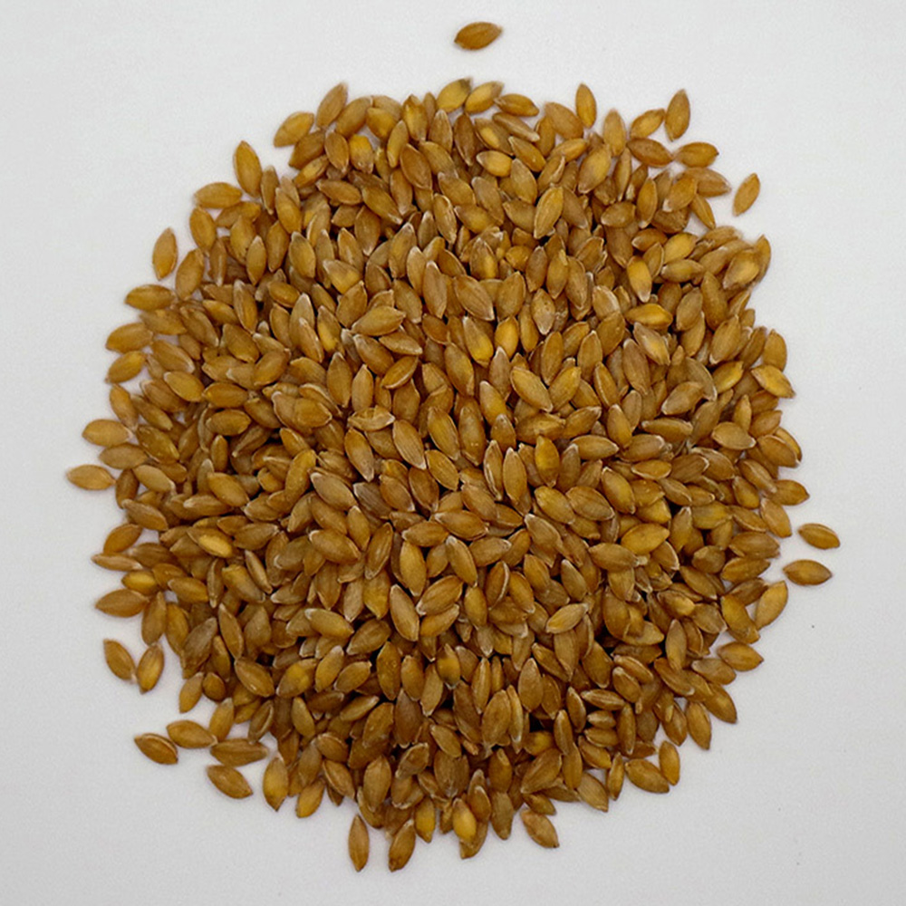 einkorn