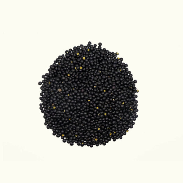 Schwarze Gourmet Linse