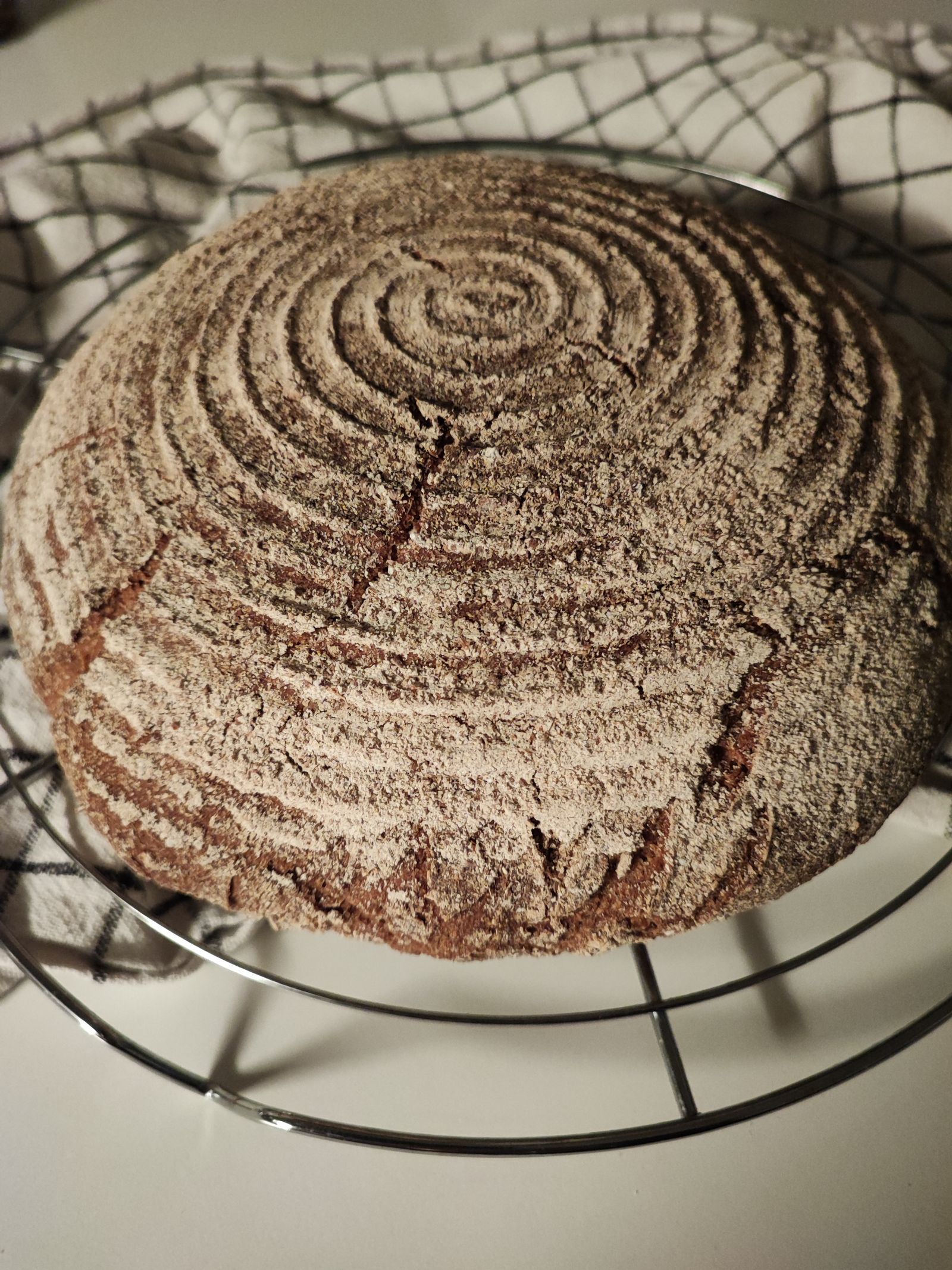 waldstaudenroggen-mischbrot