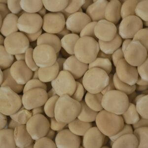 Süßlupinen (ungeschält) - 1kg