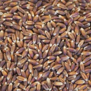 Rotkorn-Dinkel aus Urgetreide - 1kg